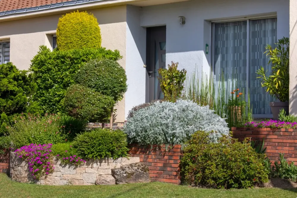 petit jardin paysagé
