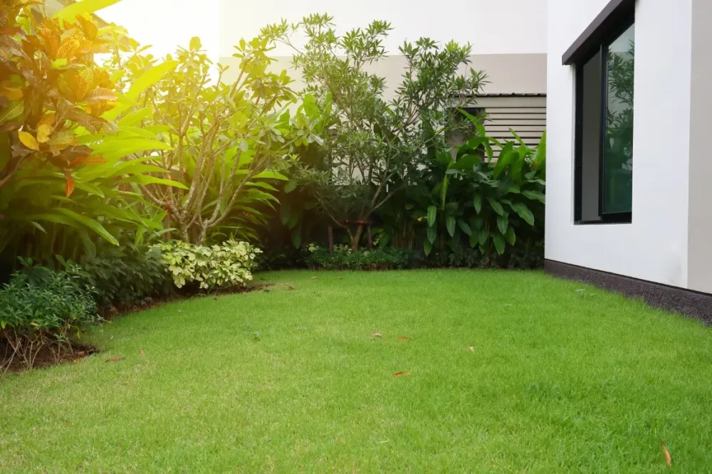 Faire mon jardin à Prêtreville